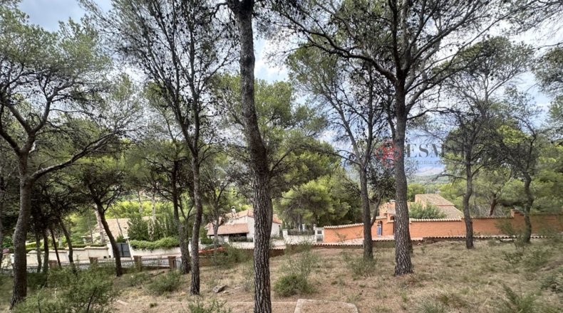 Valencia - Torres Torres - 1000m2
