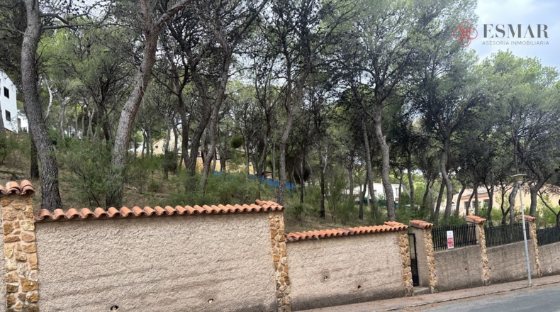Valencia - Torres Torres - 1000m2