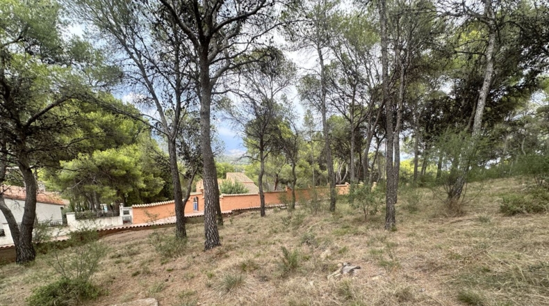 Valencia - Torres Torres - 1000m2