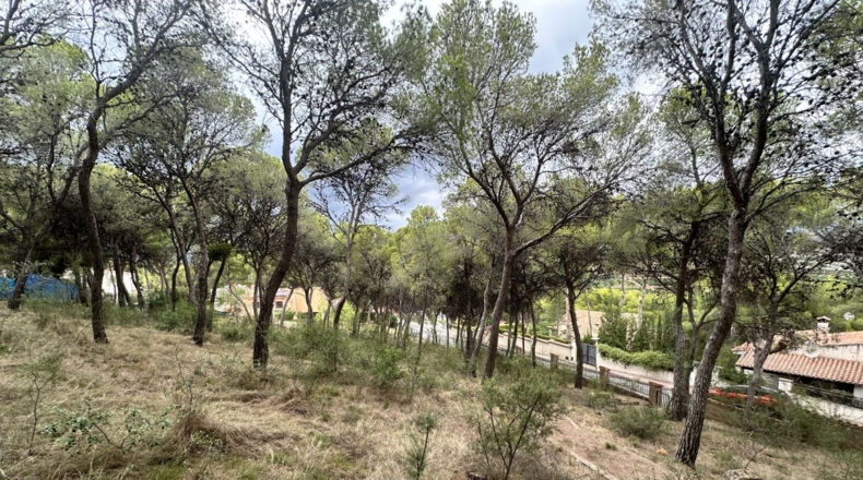 Valencia - Torres Torres - 1000m2