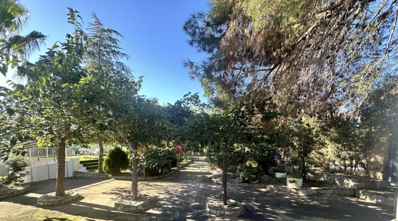 Валенсия - Alfara de la Baronía - 3837m2