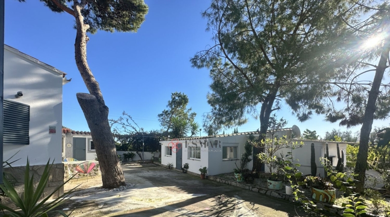 Валенсия - Alfara de la Baronía - 3837m2