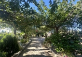 Detached villa with land for sale in Alfara de la Baronia ref: TR356086 photo