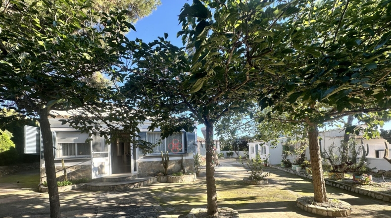 Валенсия - Alfara de la Baronía - 3837m2
