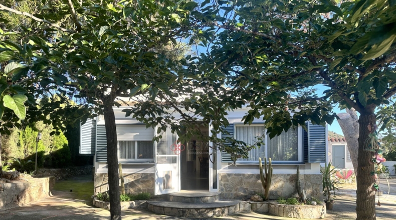 Валенсия - Alfara de la Baronía - 3837m2