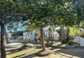 Detached villa with land for sale in Alfara de la Baronia ref: TR356086 photo