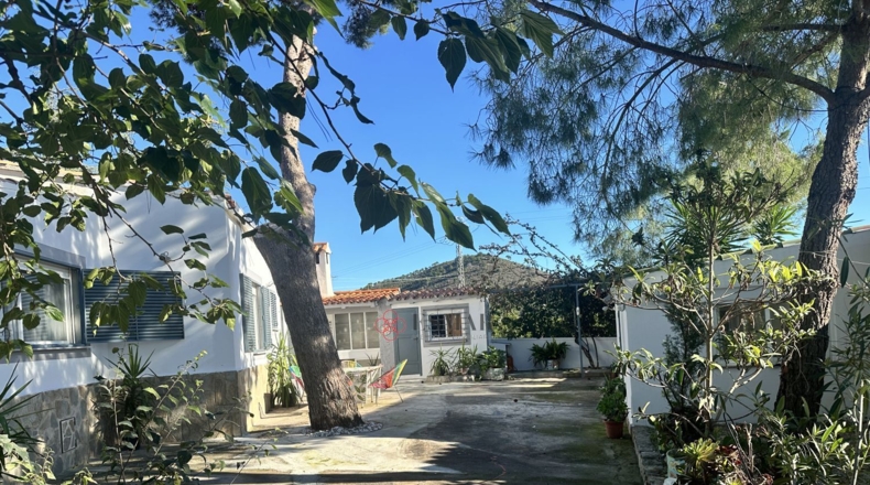 Валенсия - Alfara de la Baronía - 3837m2