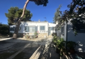 Detached villa with land for sale in Alfara de la Baronia ref: TR356086 photo