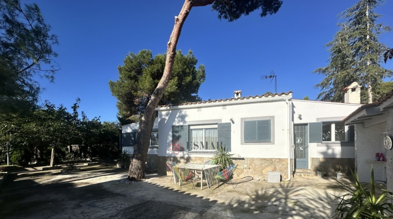 Валенсия - Alfara de la Baronía - 3837m2