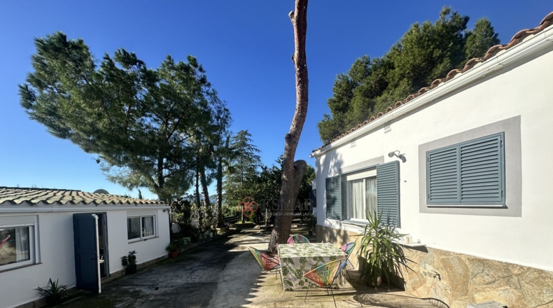 Валенсия - Alfara de la Baronía - 3837m2