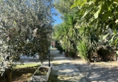 Detached villa with land for sale in Alfara de la Baronia ref: TR356086 photo