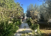 Detached villa with land for sale in Alfara de la Baronia ref: TR356086 photo