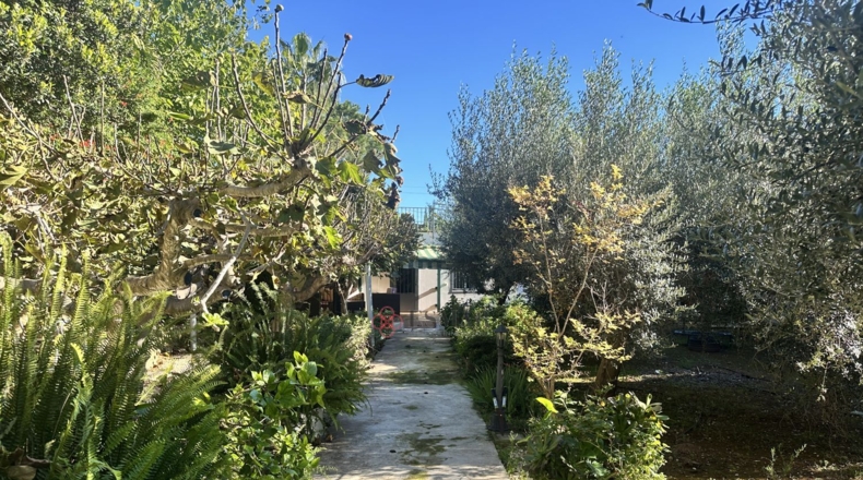 Валенсия - Alfara de la Baronía - 3837m2