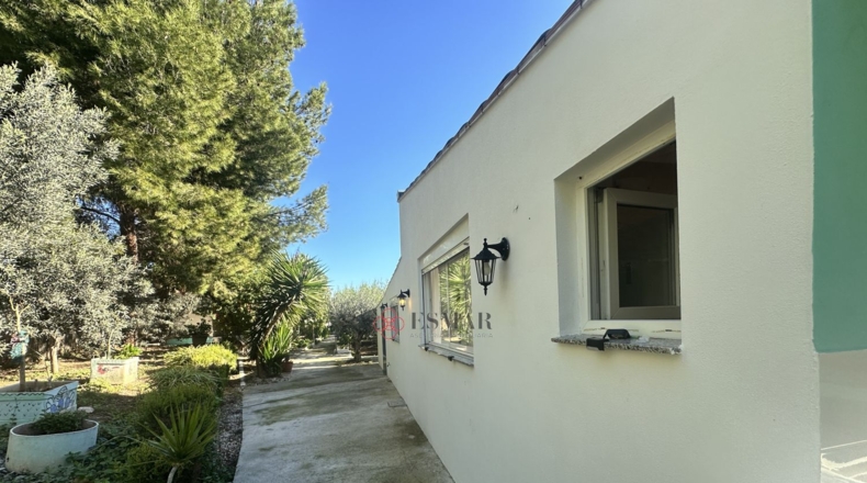 Валенсия - Alfara de la Baronía - 3837m2