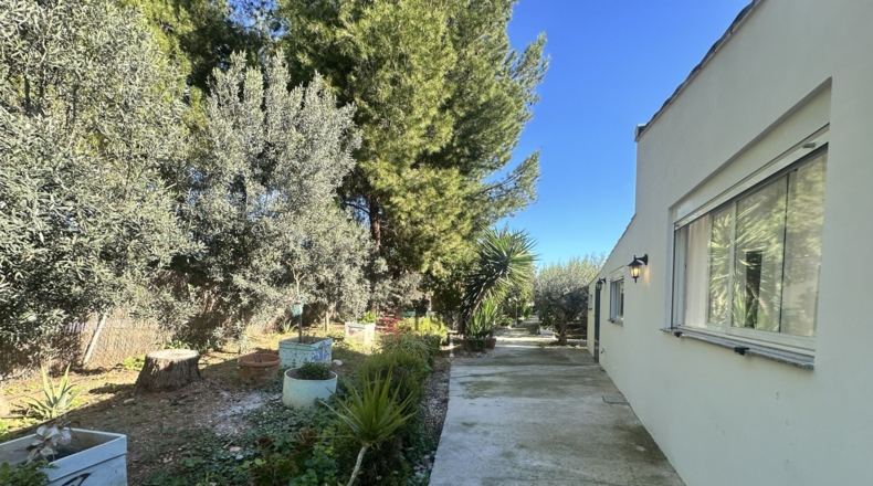 Валенсия - Alfara de la Baronía - 3837m2