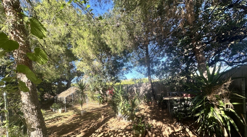 Валенсия - Alfara de la Baronía - 3837m2