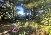 Detached villa with land for sale in Alfara de la Baronia ref: TR356086 photo