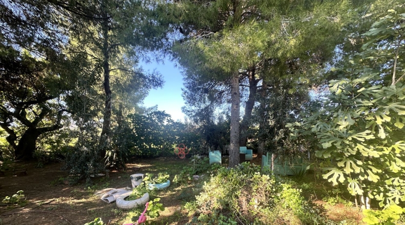 Валенсия - Alfara de la Baronía - 3837m2