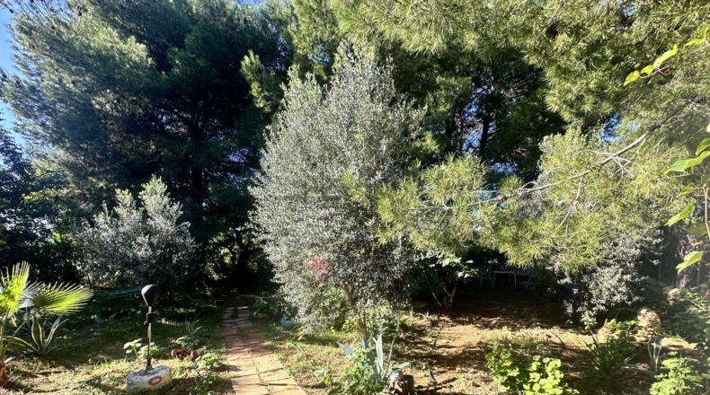 Валенсия - Alfara de la Baronía - 3837m2