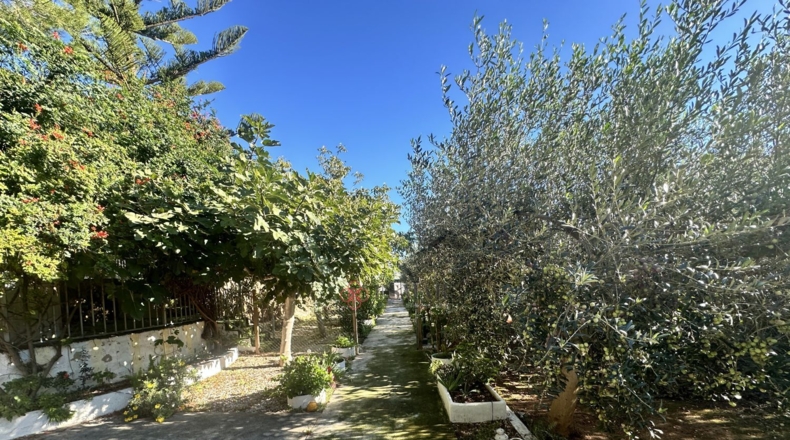 Валенсия - Alfara de la Baronía - 3837m2