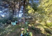 Detached villa with land for sale in Alfara de la Baronia ref: TR356086 photo