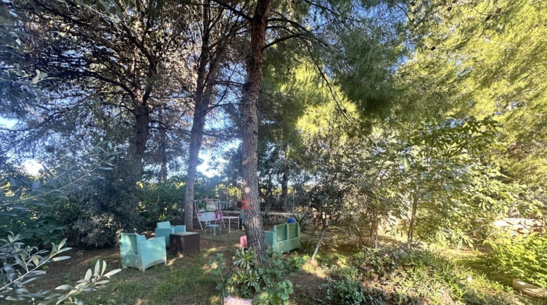 Валенсия - Alfara de la Baronía - 3837m2