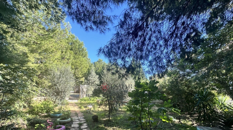 Валенсия - Alfara de la Baronía - 3837m2