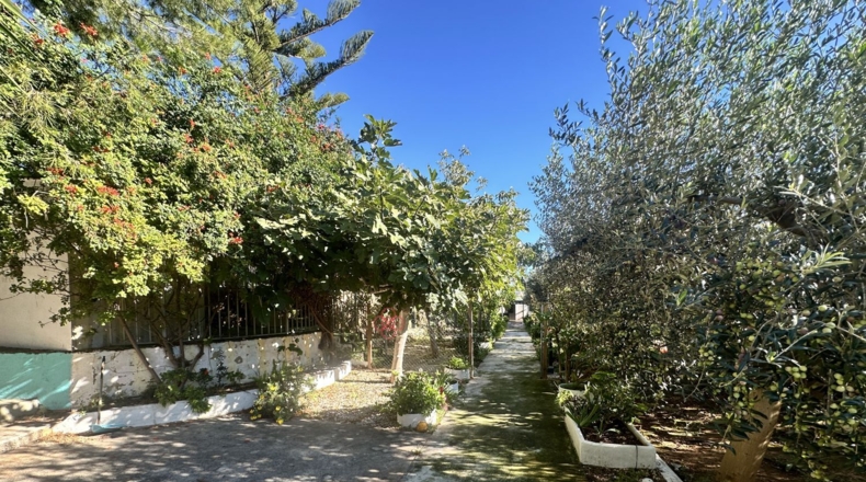Валенсия - Alfara de la Baronía - 3837m2