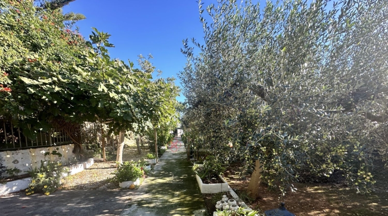 Валенсия - Alfara de la Baronía - 3837m2