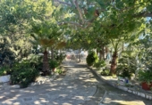 Detached villa with land for sale in Alfara de la Baronia ref: TR356086 photo