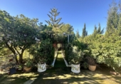 Detached villa with land for sale in Alfara de la Baronia ref: TR356086 photo