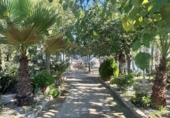 Detached villa with land for sale in Alfara de la Baronia ref: TR356086 photo