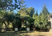 Detached villa with land for sale in Alfara de la Baronia ref: TR356086 photo