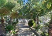 Detached villa with land for sale in Alfara de la Baronia ref: TR356086 photo