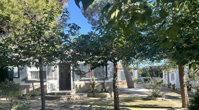 Валенсия - Alfara de la Baronía - 3837m2
