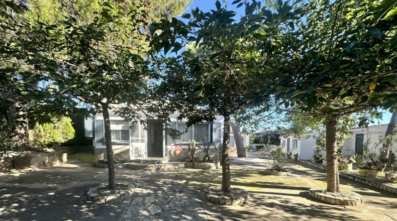 Валенсия - Alfara de la Baronía - 3837m2