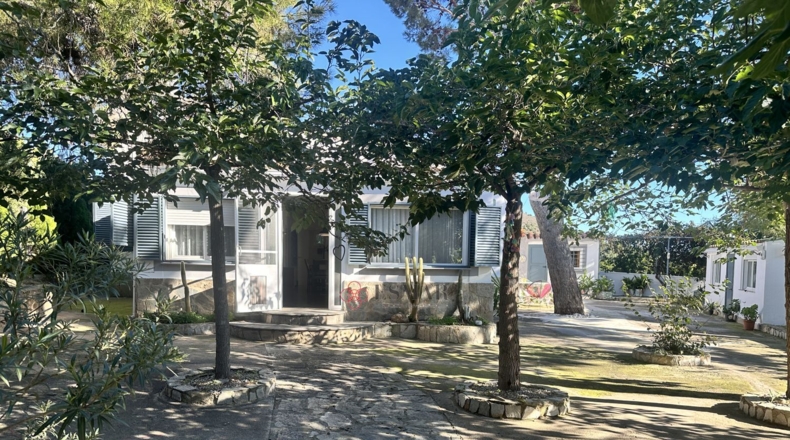 Валенсия - Alfara de la Baronía - 3837m2