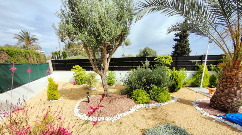 Alicante - Elx - 2000m2
