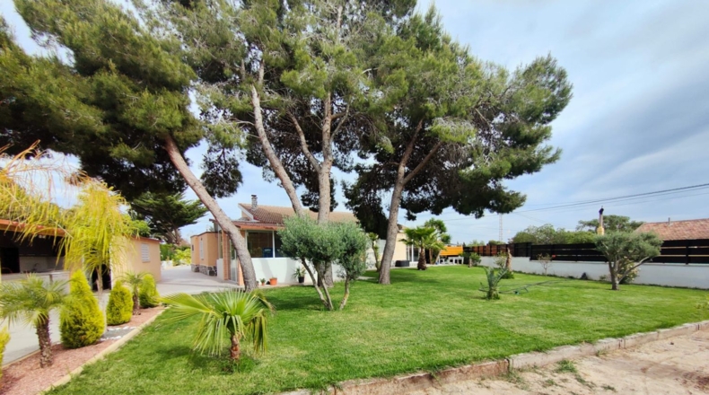 Alicante - Elx - 2000m2