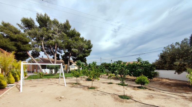 Alicante - Elx - 2000m2