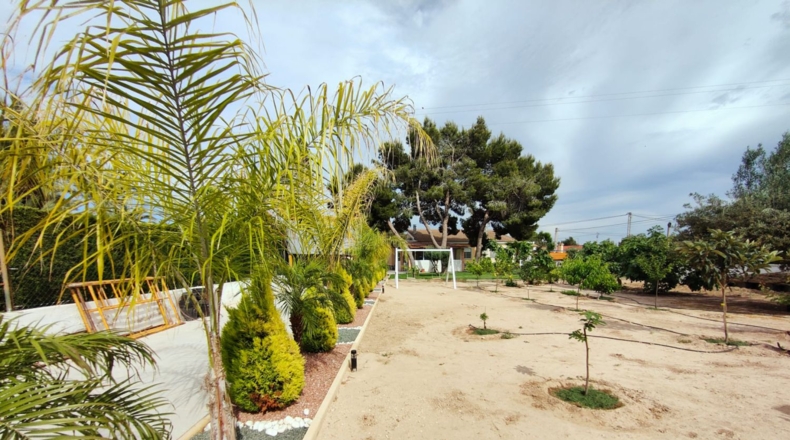 Alicante - Elx - 2000m2