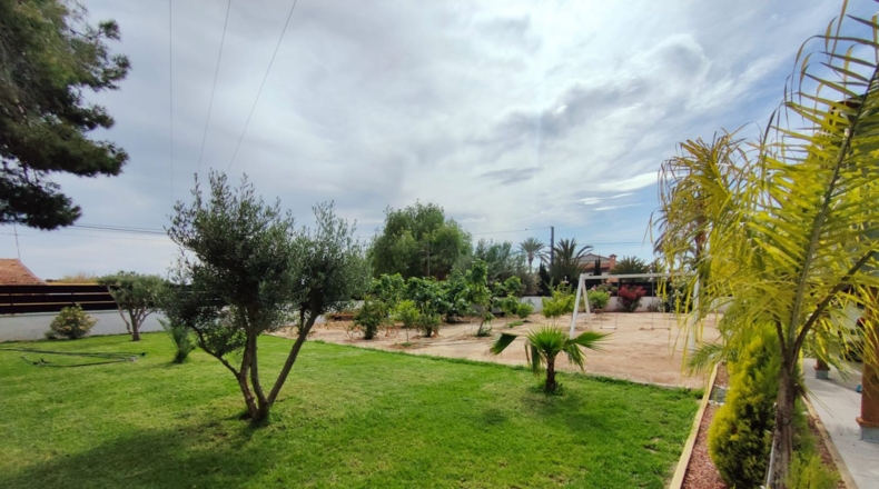 Alicante - Elx - 2000m2