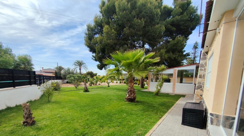 Alicante - Elx - 2000m2