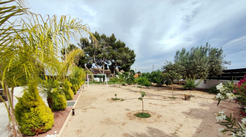 Alicante - Elx - 2000m2