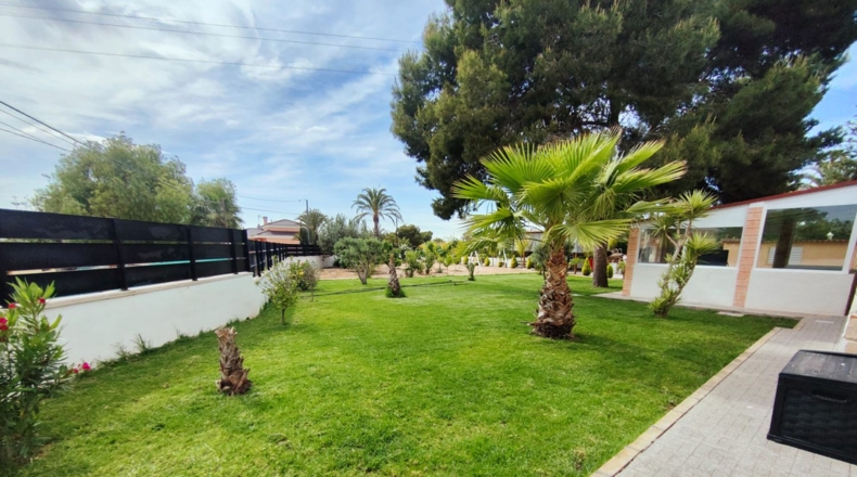 Alicante - Elx - 2000m2