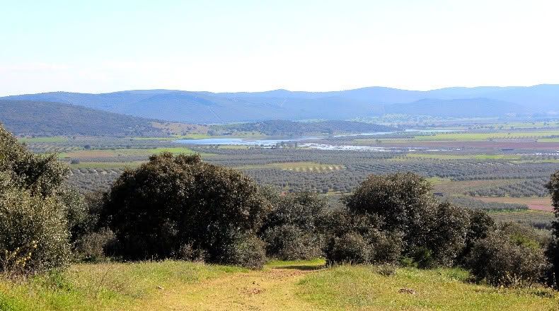 Ciudad Real - Malagón - 400000m2