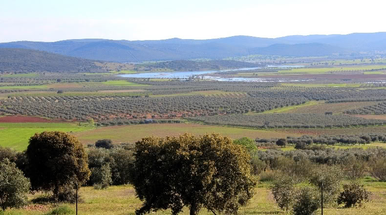 Ciudad Real - Malagón - 400000m2