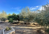 Finca rústica en venta en Águilas ref: TR263349 foto