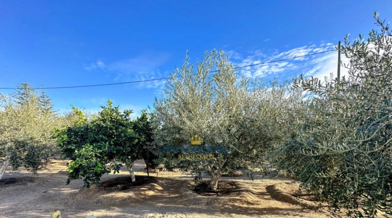 Murcia - Águilas - 3580m2