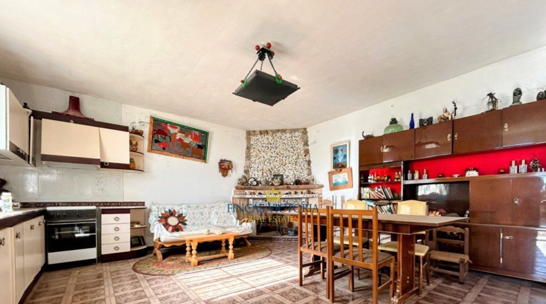 Murcia - Los Melenchones - 20000m2